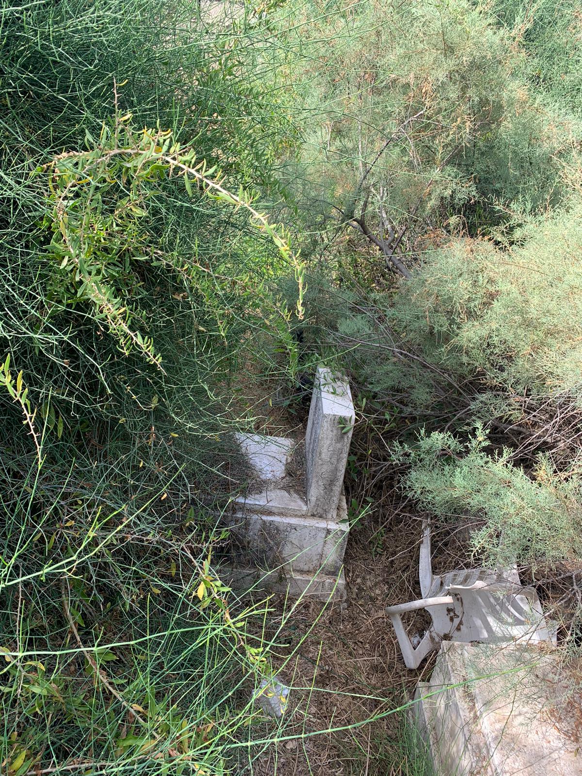 WhatsApp Image 2021-05-31 at 10.49.02 AM.jpeg